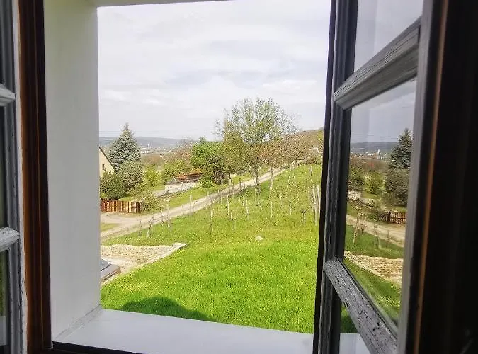 Balazs-hegyi Vendeghaz * Szentantalfa